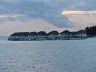 IMG_2502