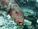 IMG_3510