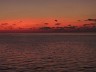 IMG_3226